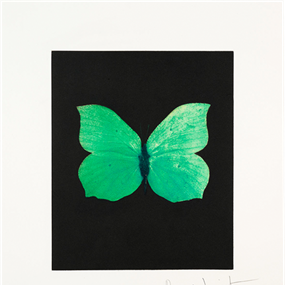 Tribulation by Damien Hirst