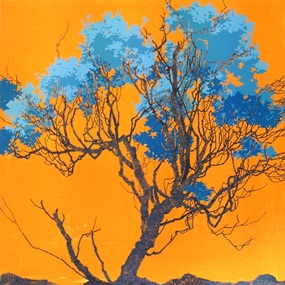 Orange Sloe by Henrik Simonsen