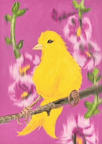 Little Yello Fello  by Ann Craven