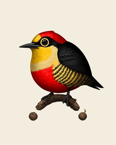 Yellow-Fronted Woodpecker  by Mike Mitchell