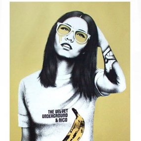 Velveteen (Nico Gold) by Fin DAC