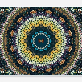 H18-3 Psychedelic by Damien Hirst