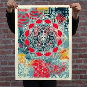 Chaos Mandala by Shepard Fairey