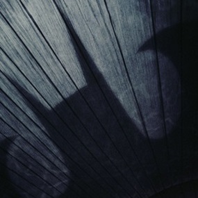 I Believe The Word You’re Looking For Is "Aaahh" (First Edition) by Matt Ferguson