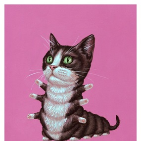 Tuxedo Cat by Casey Weldon