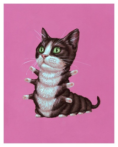 Tuxedo Cat  by Casey Weldon