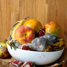 Old Fruit by Roe Ethridge