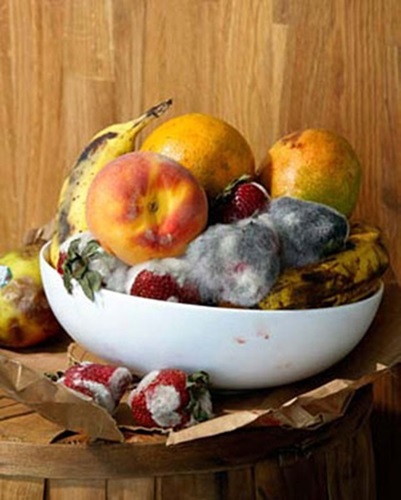 Old Fruit  by Roe Ethridge