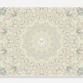 H18-5 Intricacy by Damien Hirst