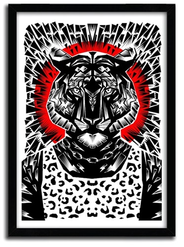 Tiger (First Edition) by Ali Gulec