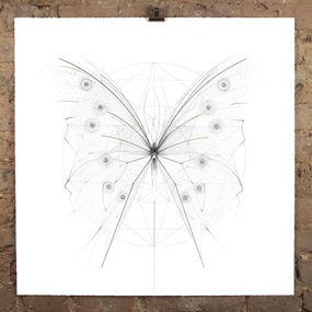 Morpho Butterfly (Gold Geometry) by Jessica Albarn