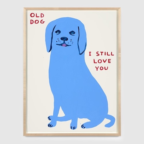 Untitled (Old Dog)  by David Shrigley