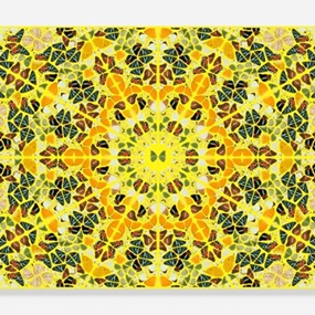 H18-4 Splendour by Damien Hirst