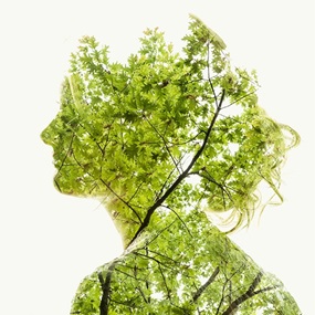 Summer Green (First Edtion) by Christoffer Relander