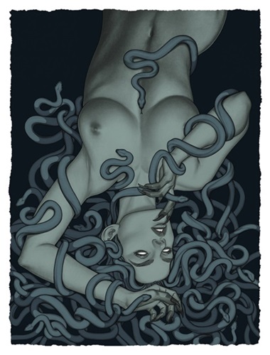 Medusa (First Edition) by Jenny Frison