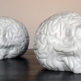 Skull Brain (Porcelain) by Emilio Garcia