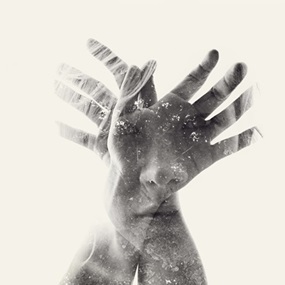 Butterfly (First Edition) by Christoffer Relander