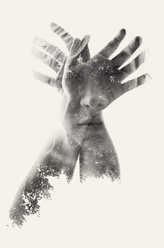 Butterfly (First Edition) by Christoffer Relander