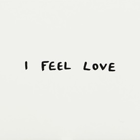 I Feel Love (First edition) by Karim Zeriahen