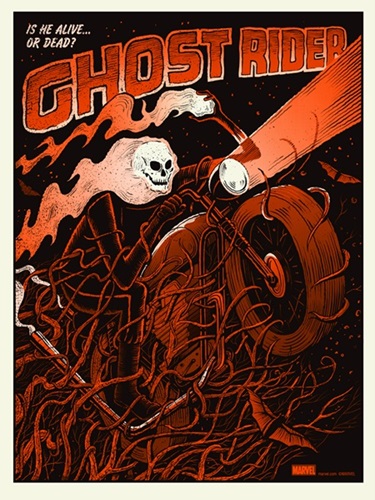 Ghost Rider (Variant) by Methane Studios