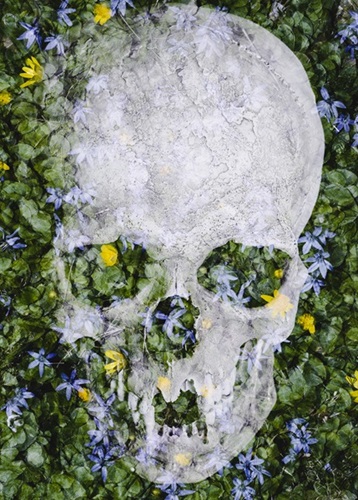 Spring Skull (First Edition) by Christoffer Relander