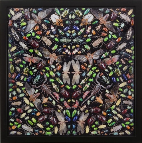 Inferno  by Damien Hirst
