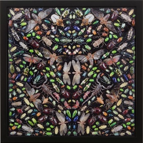 Inferno by Damien Hirst