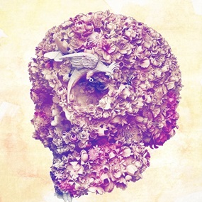 Floral Skull by Jacky Tsai