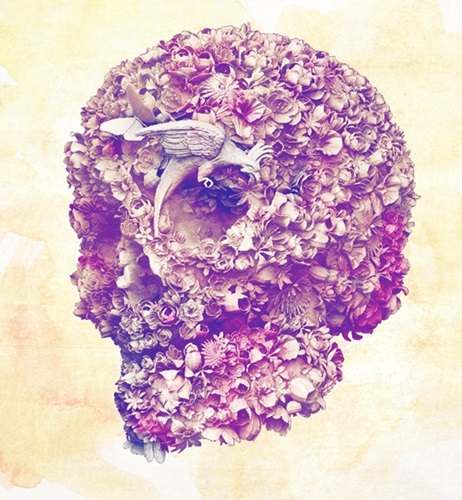 Skull Digital Art Alexander Mcqueen Colorful Flower 