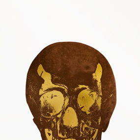 The Dead (Chocolate Oriental Gold Skull) by Damien Hirst