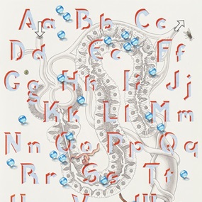 Alphabet by Caitlin Keogh