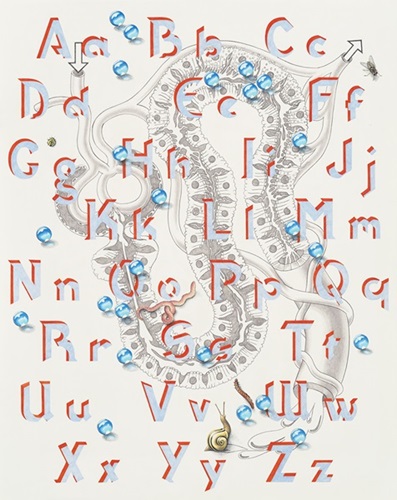 Alphabet  by Caitlin Keogh