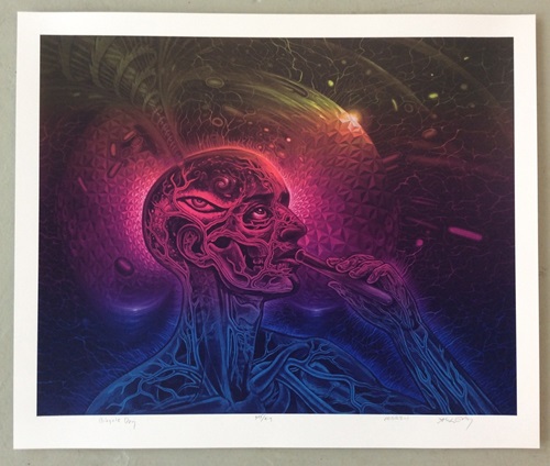 Bicycle Day (Second Edition) by Mars 1 | Alex Grey