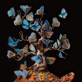 Migration II (Timed Edition) by Lisa Ericson