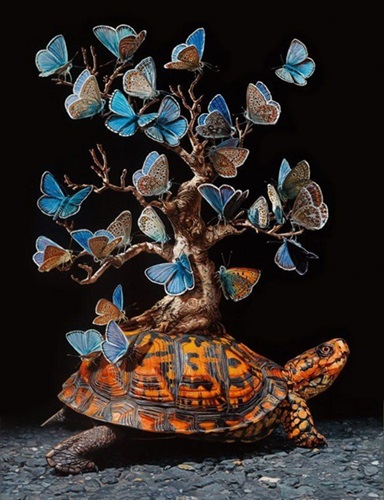 Migration II (Timed Edition) by Lisa Ericson