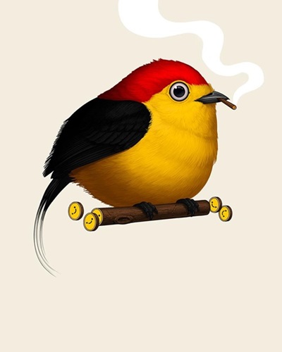 Fat Bird - Wire-Tailed Manakin (Variant) by Mike Mitchell