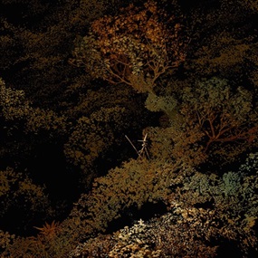 Forest Maze IX by Kilian Eng