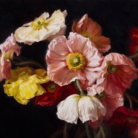 Poppy Season (Timed Edition) by Anhelina Holembivska