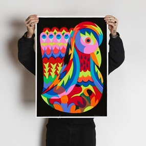 Il Pappagallo (First Edition) by 3ttman