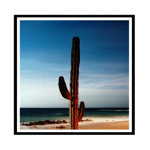 Cactus 2:23am  by Daniel Fuller