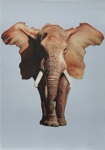 African Elephant (First Edition) by Ron English
