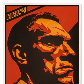 Big Brother Profile by Shepard Fairey