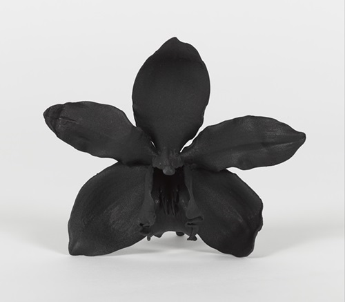 Supra Stealth Desire  by Marc Quinn