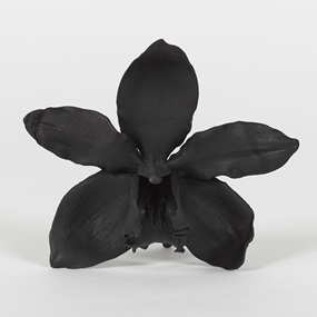 Supra Stealth Desire by Marc Quinn