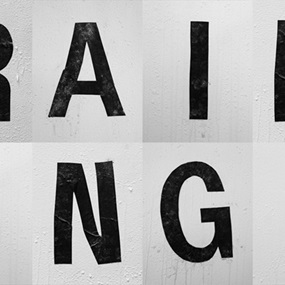 Raining by Shannon Ebner