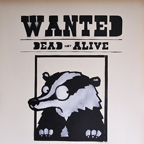 Wanted Badger (Original) by Mau Mau