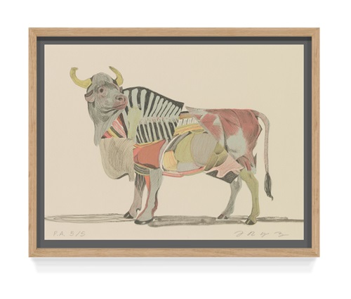 Toro (First Edition) by Aryz