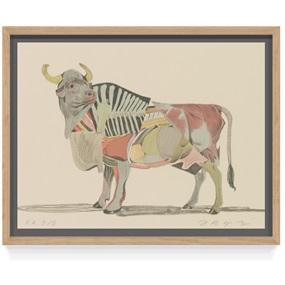 Toro (First Edition) by Aryz