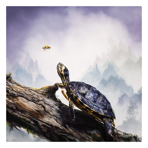 Box Turtle & Honeybee  by Brian Mashburn