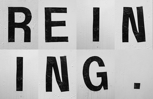 Reining  by Shannon Ebner